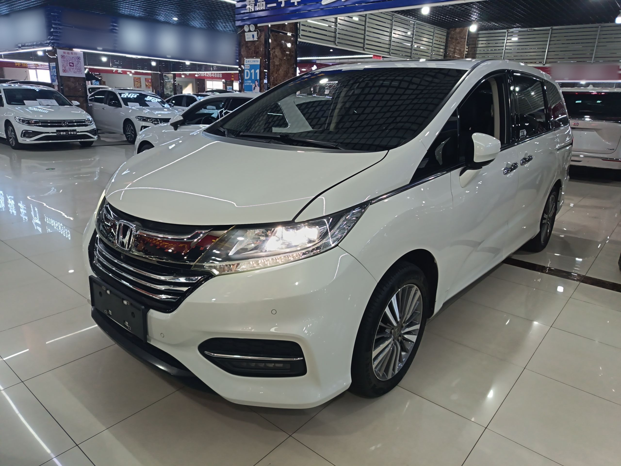 Parte inferior delantera