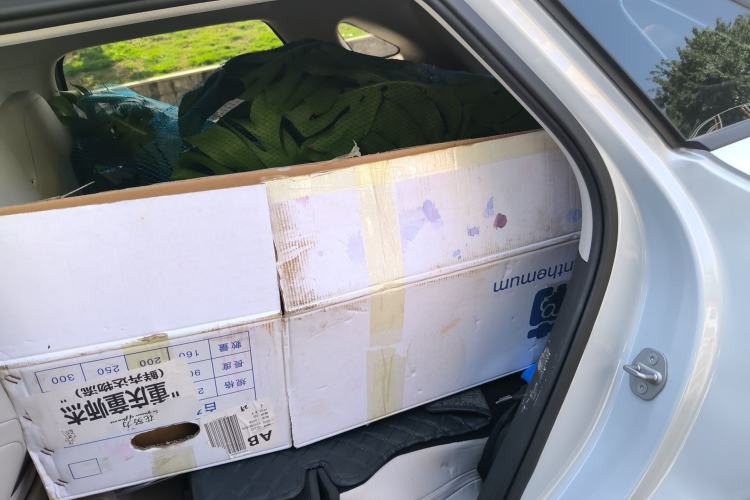 Used BYD Yuan UP 2024 401 km Active Version
