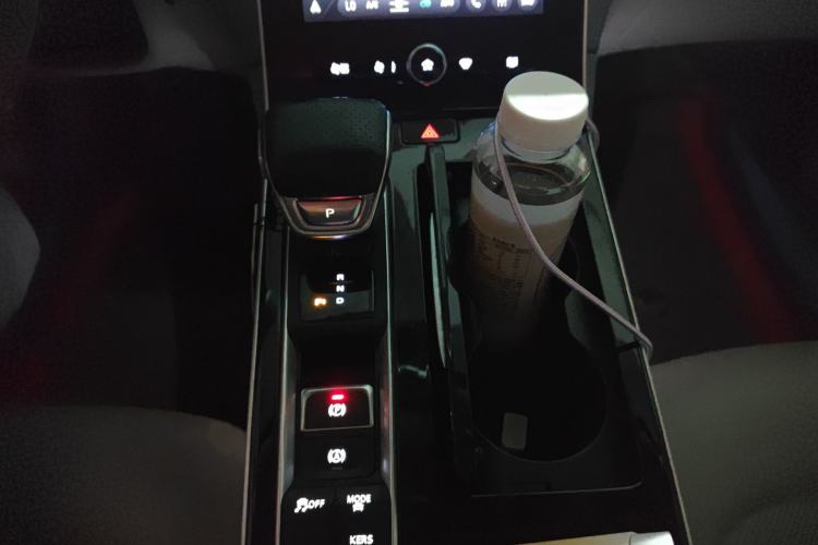 Used Rising ER6 2021 New Dynamic Edition 620km Smart Drive Version
