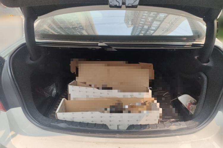 Used BMW 3 Series 2013 320Li Fashion Model Trunk