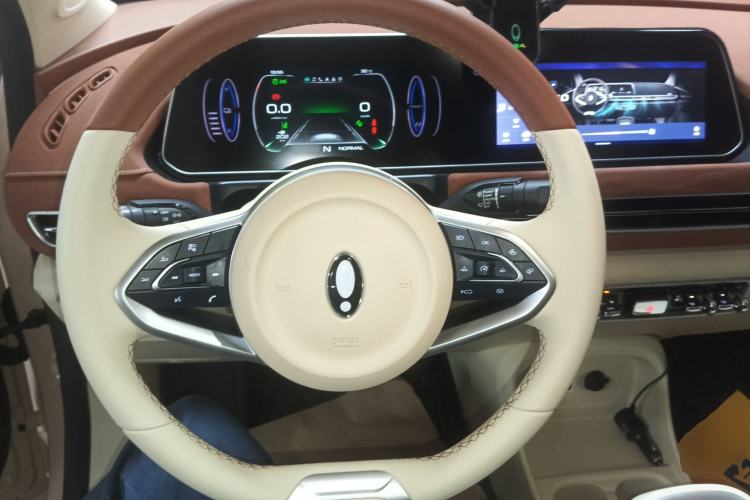 Used ORA Good Cat 2021 400km Standard Range Venus Edition Lithium Iron Phosphate