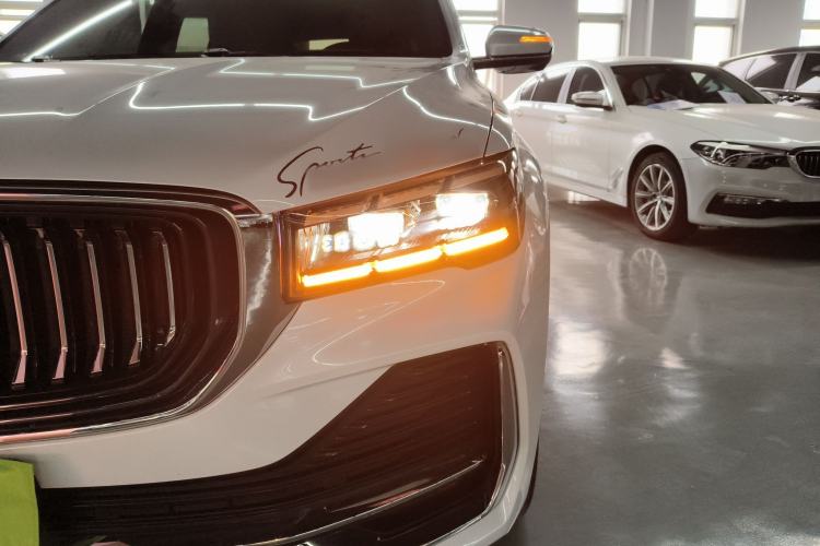 Used Geely Auto Monjaro L 2024 2.0TD High-Power Automatic Two-Wheel Drive Skyline Edition
