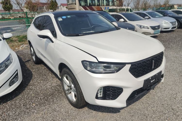 Used Wey VV5 2019 1.5T Two-Wheel Drive Color Pioneer
