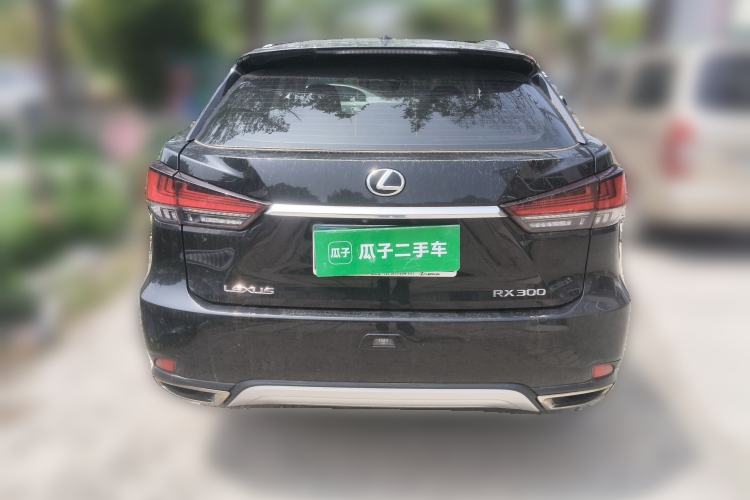 Used Lexus RX 2020 300 Two-Wheel Drive Elite Edition China VI Standard Rear
