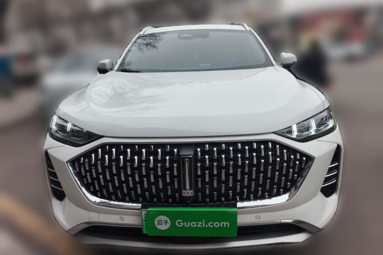 Used Wey Mocha New Energy 2022 1.5T Zero-Anxiety Performance Edition
