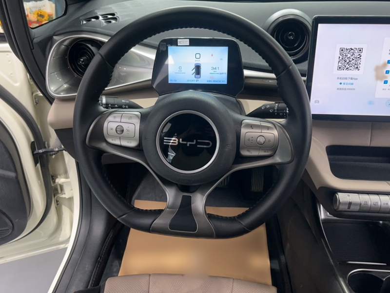 Used BYD Dolphin 2023 420 km Free Version — 37