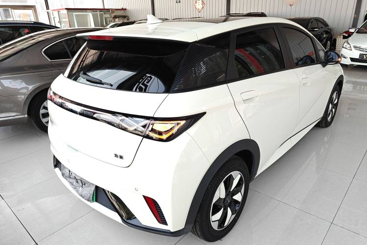 Used BYD Dolphin 2025 420km Fashion Edition