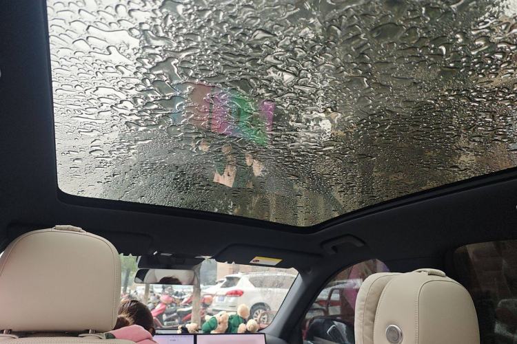 Used Li Auto L6 2025 Max Smart Refresh Edition Headliner