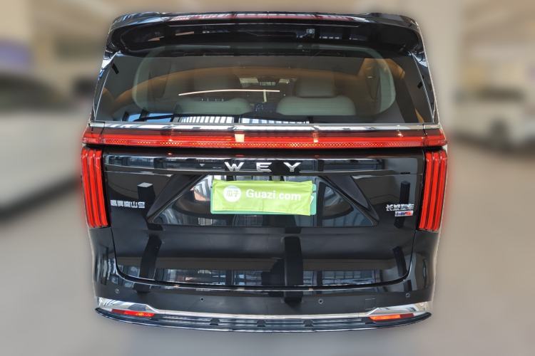 Used Wey Gaoshan 2025 Four-Wheel Drive Alpine 9 Rear