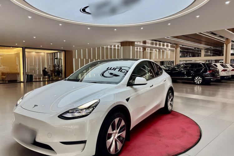 Used Tesla Model Y 2021 Standard Range Rear-Wheel Drive Version
