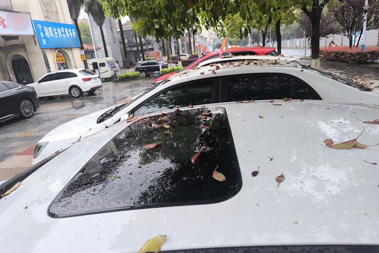 Used Hyundai Elantra (6th Generation / Lingdong) 2018 1.6L Automatic 15th Anniversary Special Edition Roof