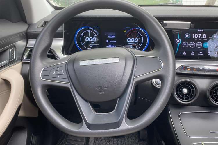 Used Leopaard CS10 2019 2.0T Automatic Drive Yue Edition