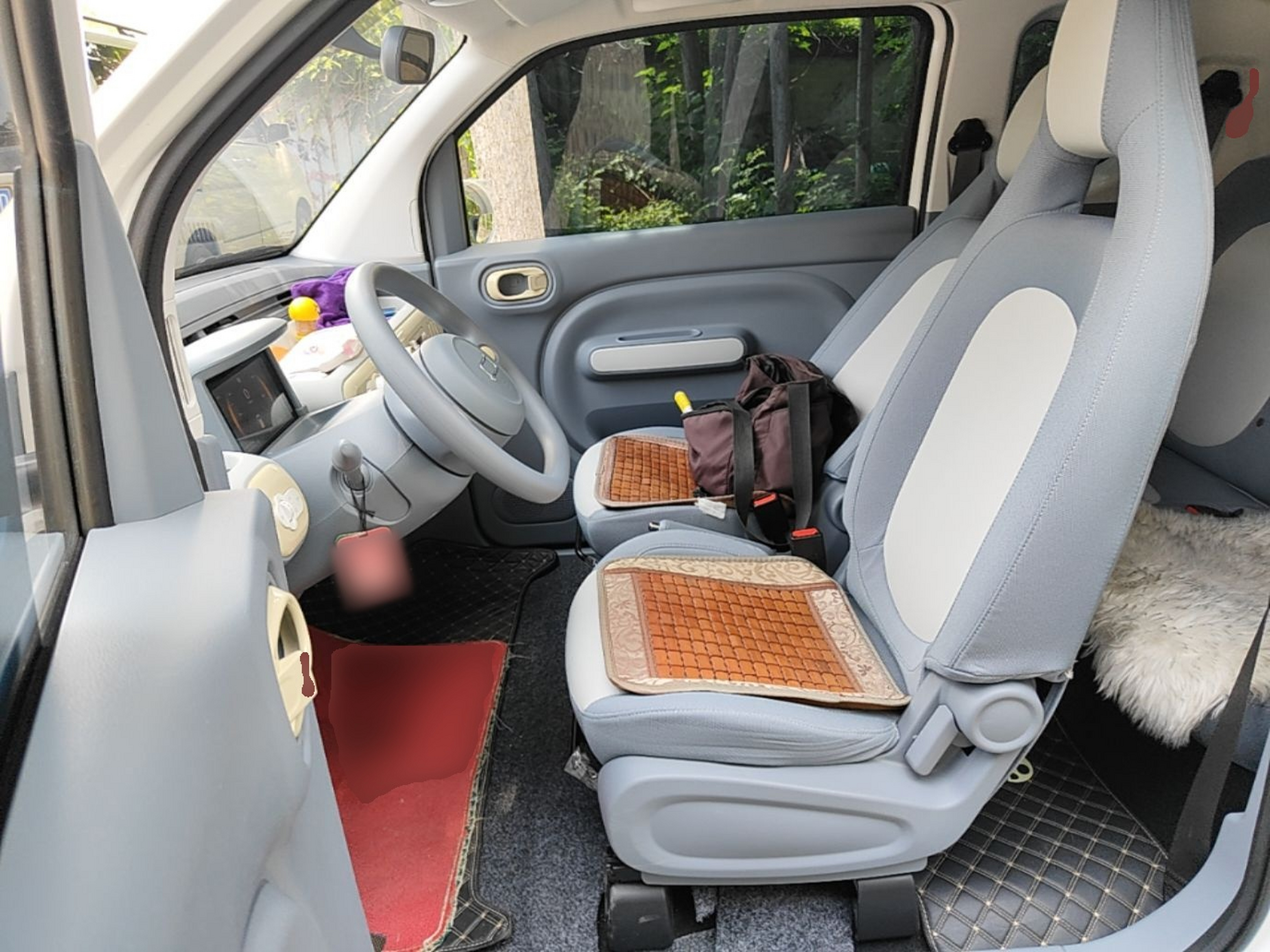 Interior delantero