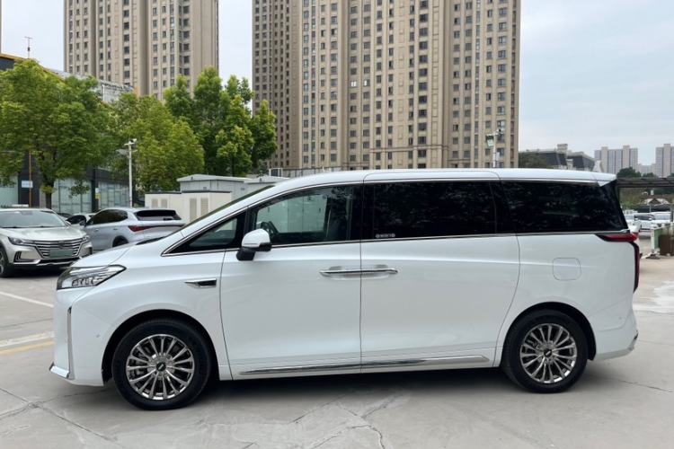 Used Wey Gaoshan 2023 Four-Wheel Drive Flagship Edition
