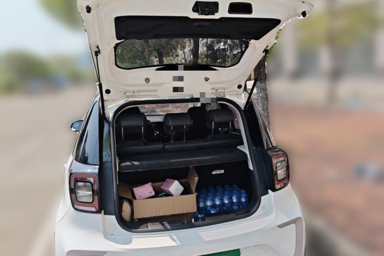 Used SOL E10X 2022 Flower Fairy Design Four-Leaf Clover