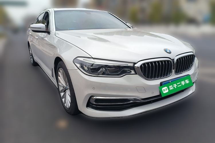 Used BMW 5 Series 2020 530Li Leading Edition Luxury Package
