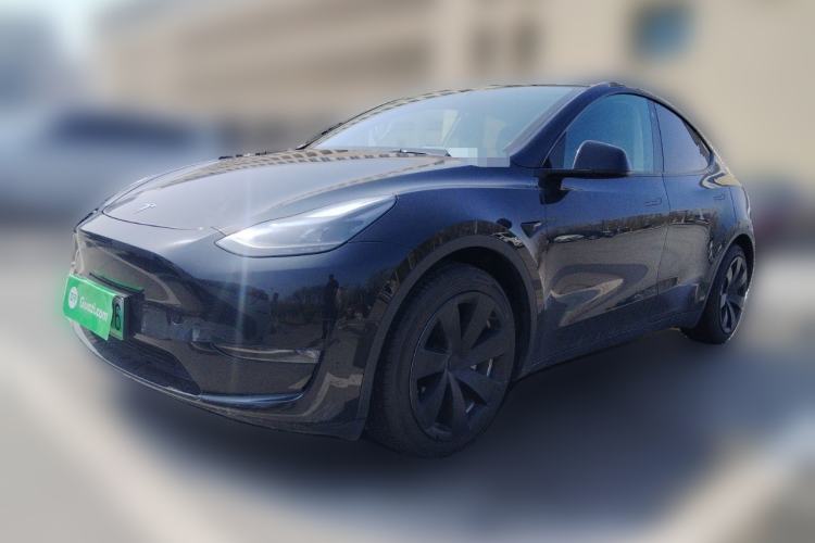 Used Tesla Model Y 2021 Standard Range Rear-Wheel Drive Version
