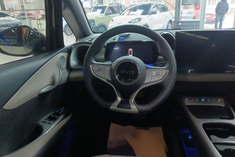 Used BYD Dolphin 2025 Intelligent Driving Version 410 km Fashion Edition
