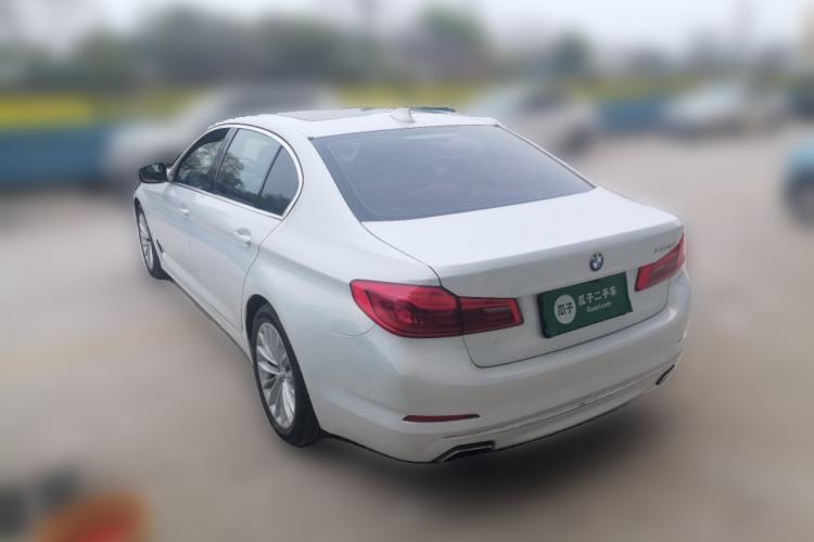 Used BMW 5 Series 2020 530Li Luxury Edition Premium Package Rear Left 45 Deg