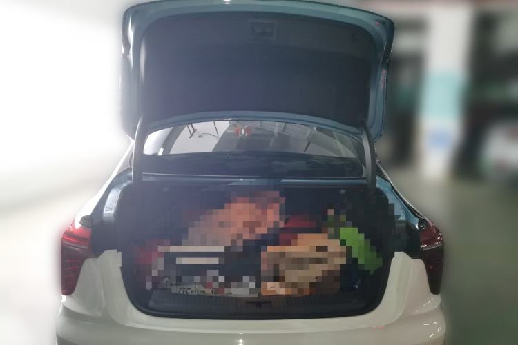 Used Hongqi H5 2023 2.0T Automatic Smart Connect Flagship Edition
