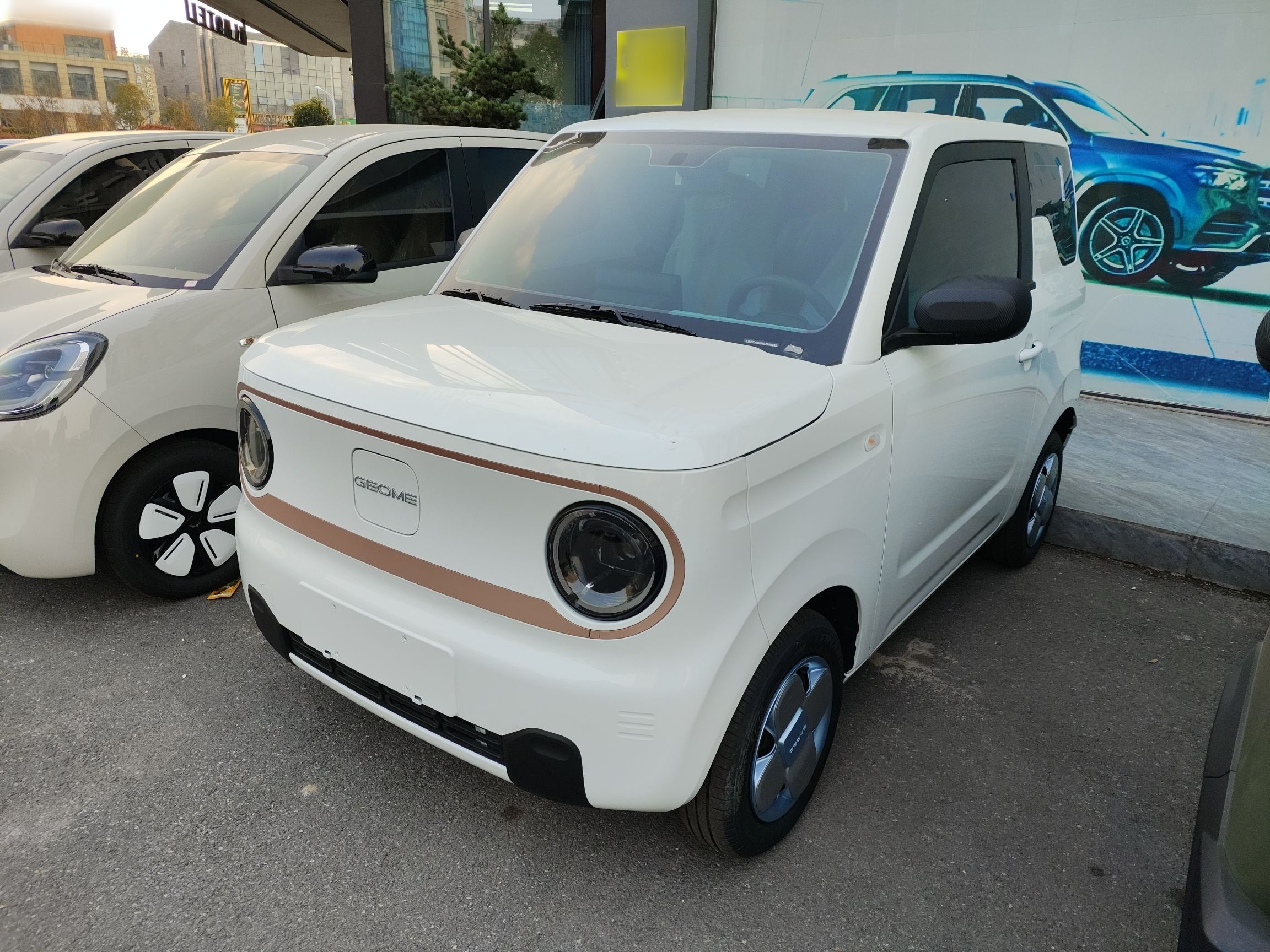 Parte inferior delantera