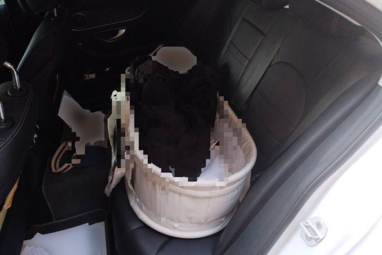 Used Mercedes-Benz C-Class 2015 C 200 L Sport Edition
