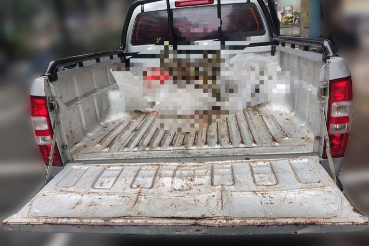 Used Isuzu JLM 2017 2.0T Two-Wheel Drive Advanced Version 4K21D4T Trunk