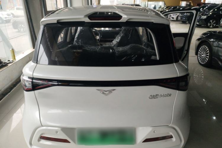 Used Cowin October 2025 Mate 300km Surfing Edition