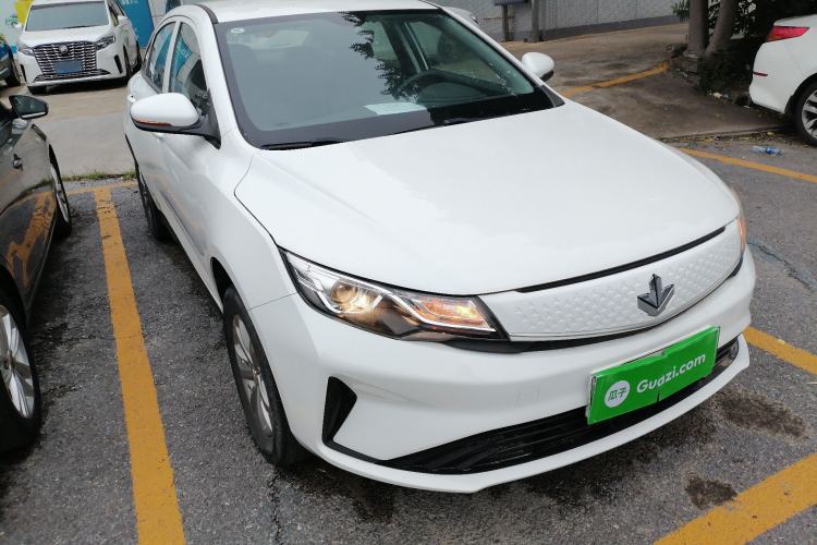 Used Livan Maple 60s 2022 Easy-to-Replace Version Lithium Iron Phosphate
