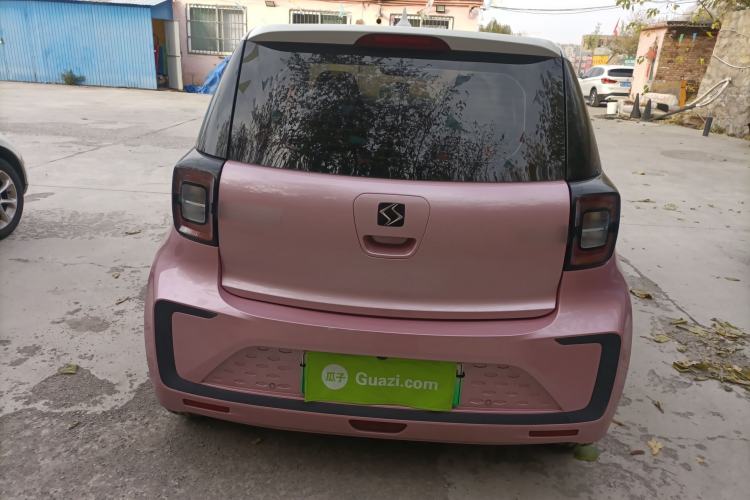 Used SOL E10X 2022 Flower Fairy Design Four-Leaf Clover