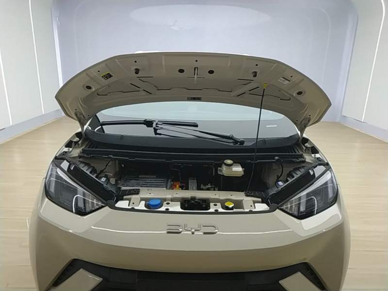 Used BYD Seagull 2025 305km Active Version — 19