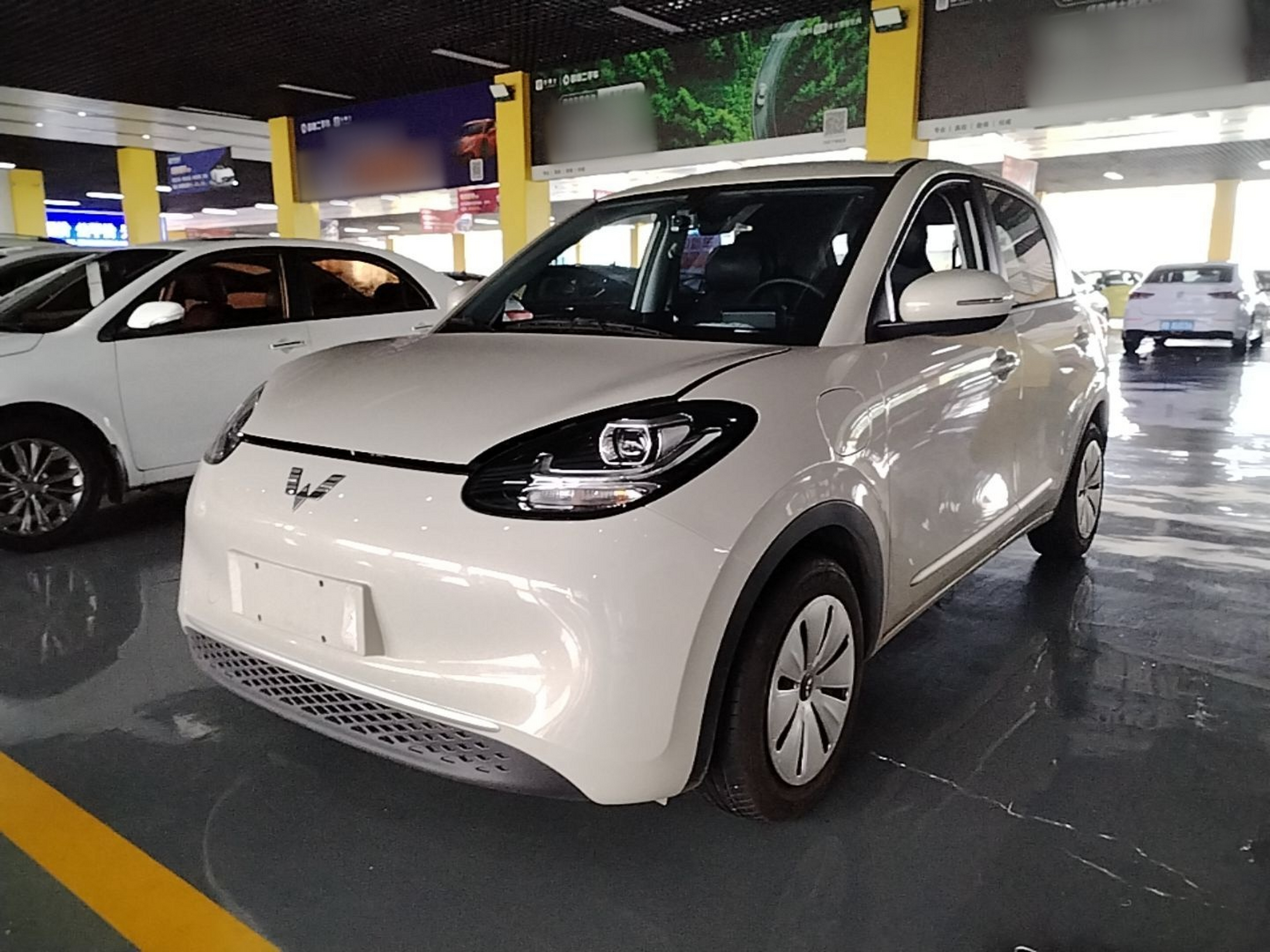 Parte inferior delantera