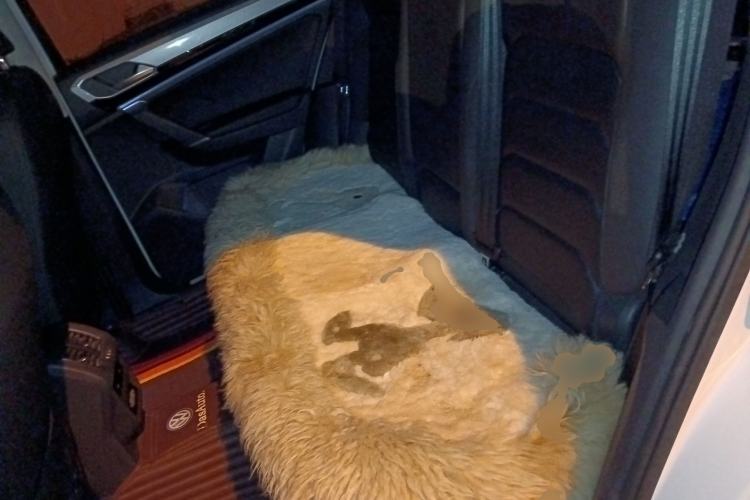 Used Volkswagen Tayron 2019 330TSI Two-Wheel Drive Luxury Model China VI Standard
