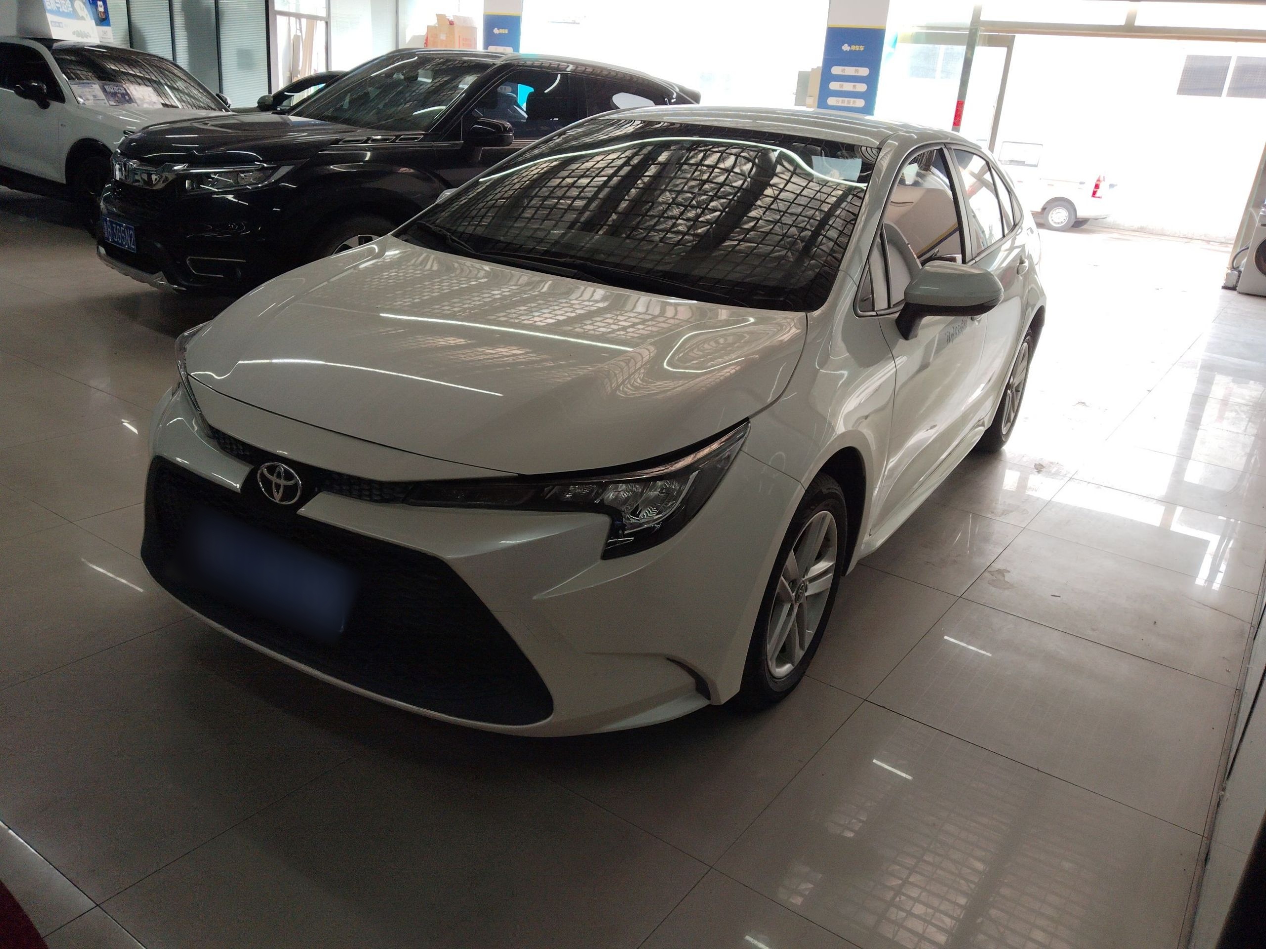 Parte inferior delantera