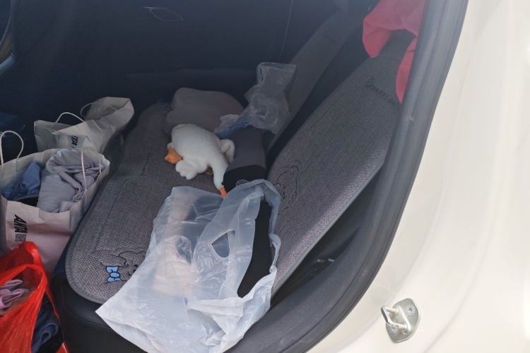 Used BYD Seagull 2023 Active Version Left Rear Seat