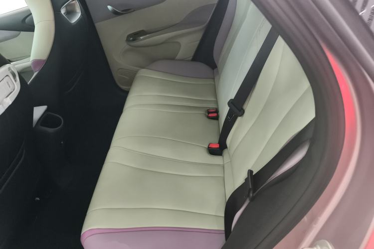 Used BYD Dolphin 2021 401km Knight Edition
