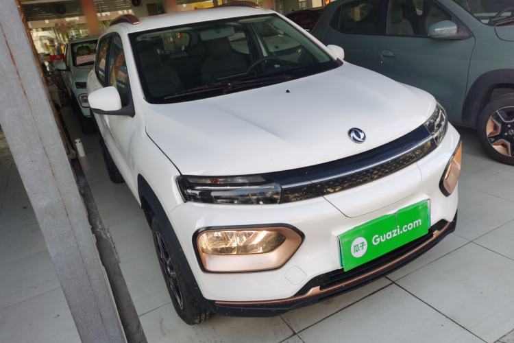 Used Dongfeng NAMMI EX1 2023 PRO Light Wind Edition Lightning Model