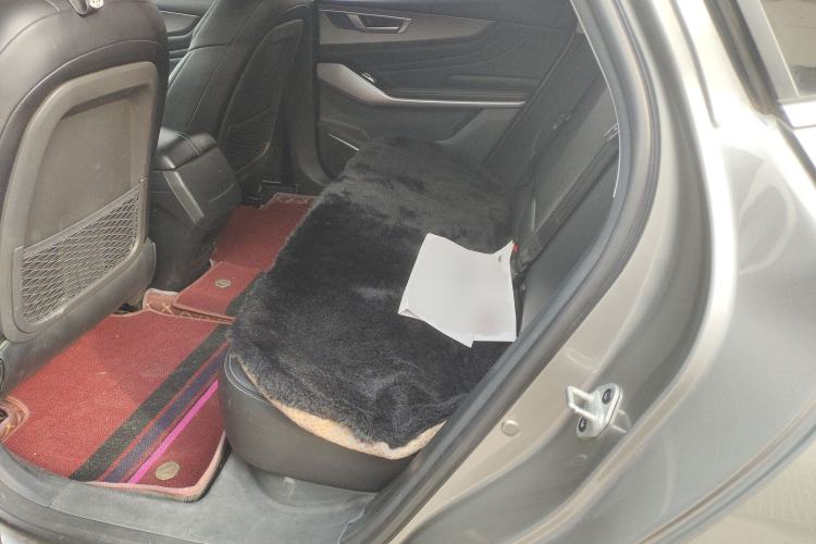 Used JMEV GSE 2022 Standard Range Elite Edition
