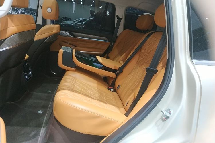 Used Tank 500 New Energy 2024 Hi4-T Left Rear Seat