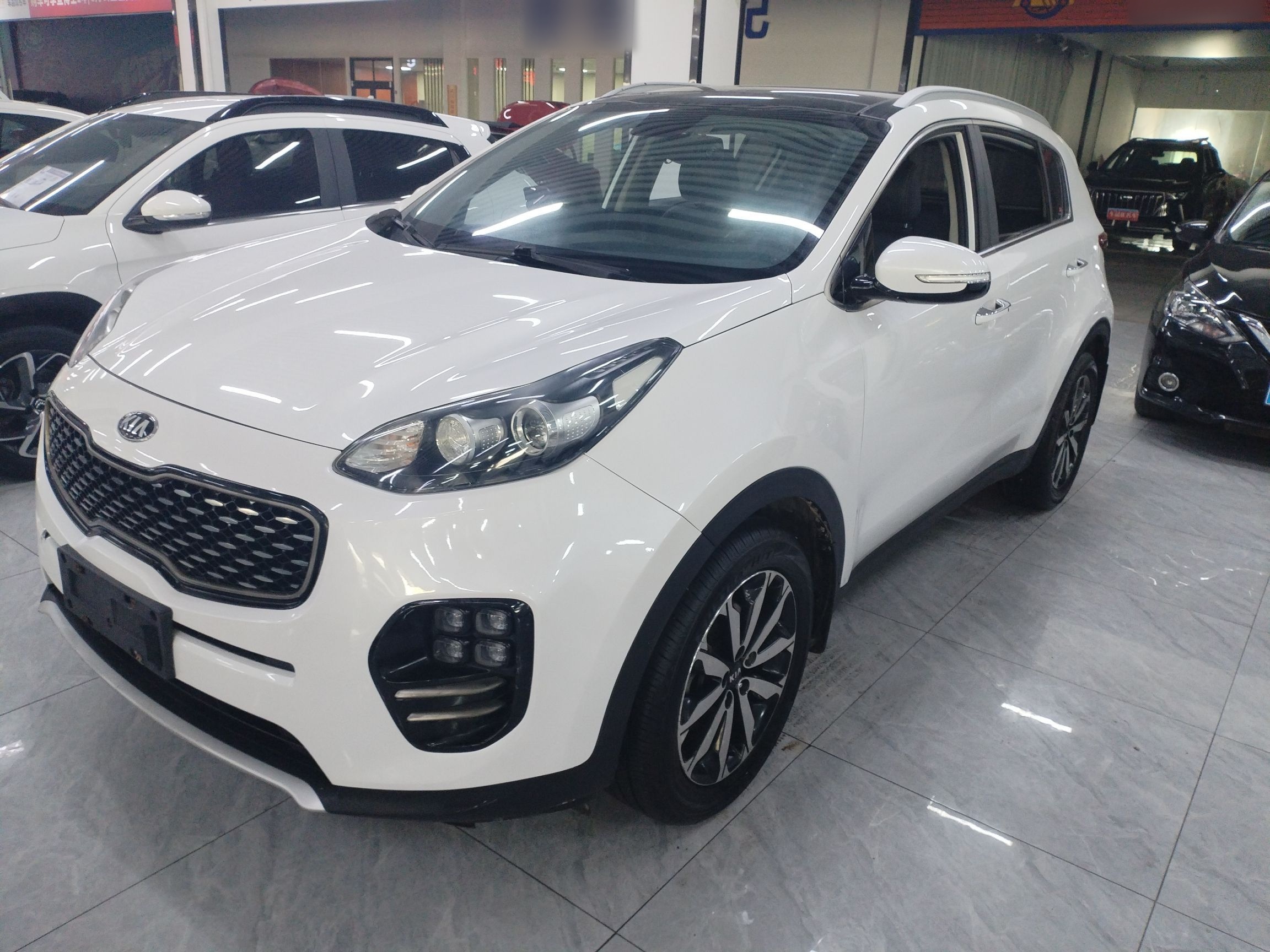 تحت مقدمة السيارة