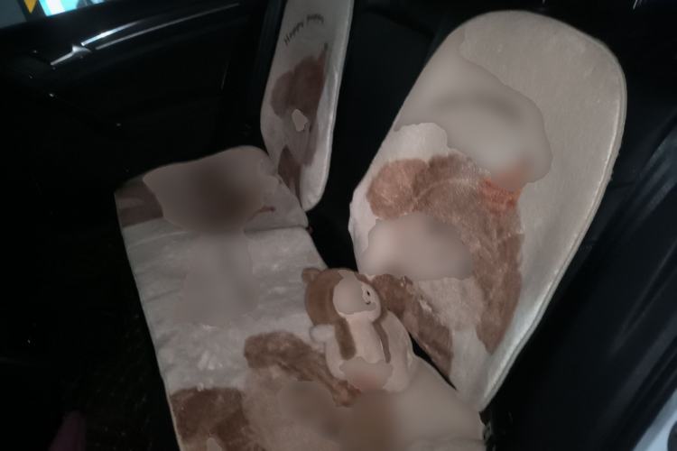 Used Volkswagen Golf 2018 230TSI Automatic Luxury Version Interior 4