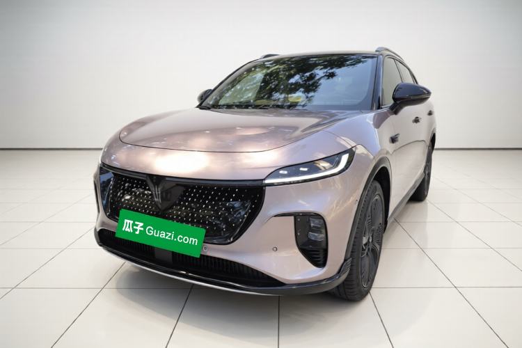 Used VOYAH COURAGE 2024 Four-Wheel Drive Global Edition