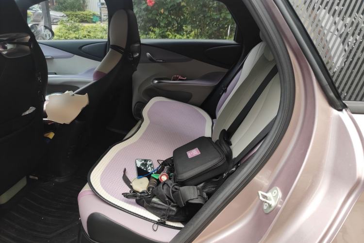 Used BYD Dolphin 2021 405 km Fashion Edition Left Rear Seat