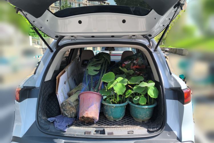 Used BYD Yuan UP 2024 401 km Active Version
