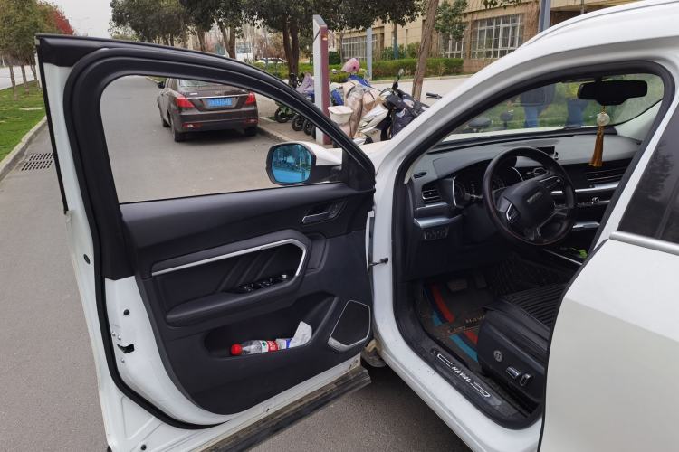 Used Haval H6 2017 Blue Label 2.0T Automatic Two-Wheel Drive Smart Edition
