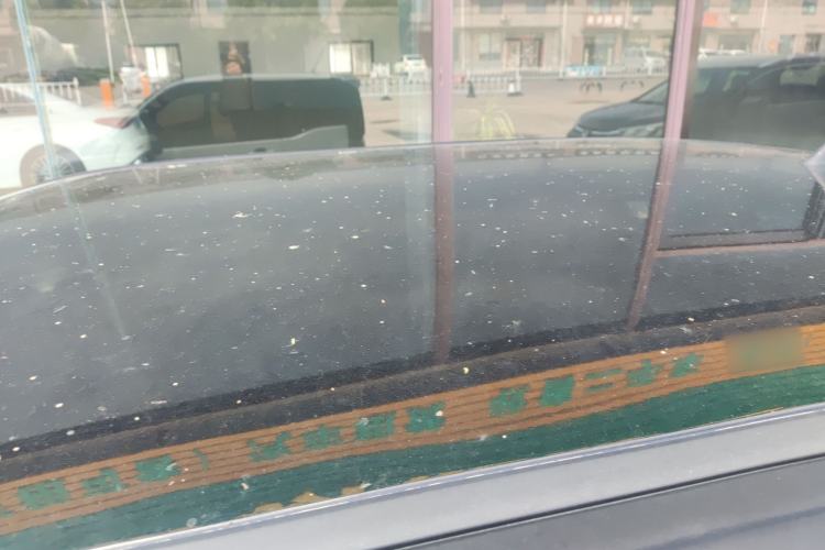 Used Chery QQ Ice Cream 2024 Edition Youth Version 205km Sundae Roof