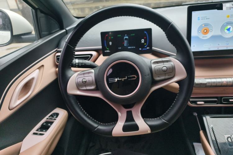 Used BYD Seagull 2023 Flying Edition Steering Wheel