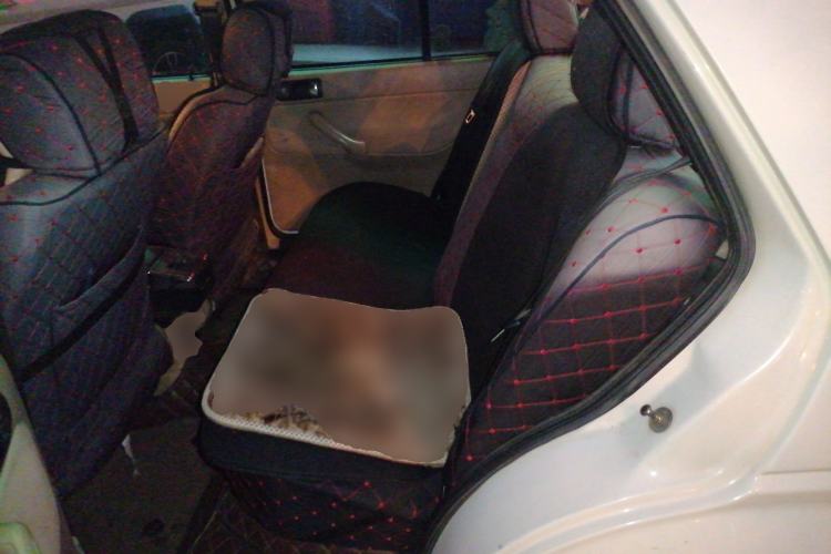 Used Volkswagen Jetta 2012 1.6L Collector's Edition Left Rear Seat