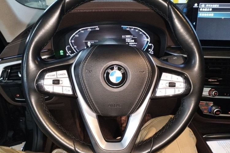 Used BMW 5 Series New Energy 2021 535Le Luxury Package
