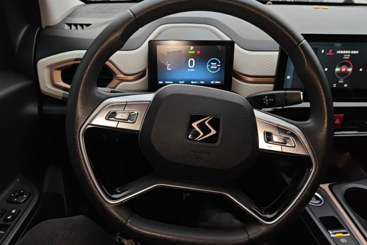 Used SOL E10X 2022 Flower Fairy Design Four-Leaf Clover